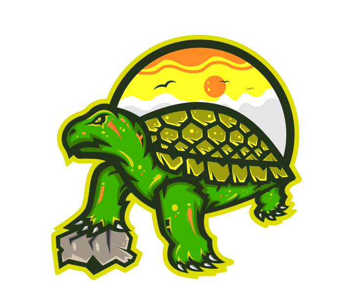 The Turtle Hub Store